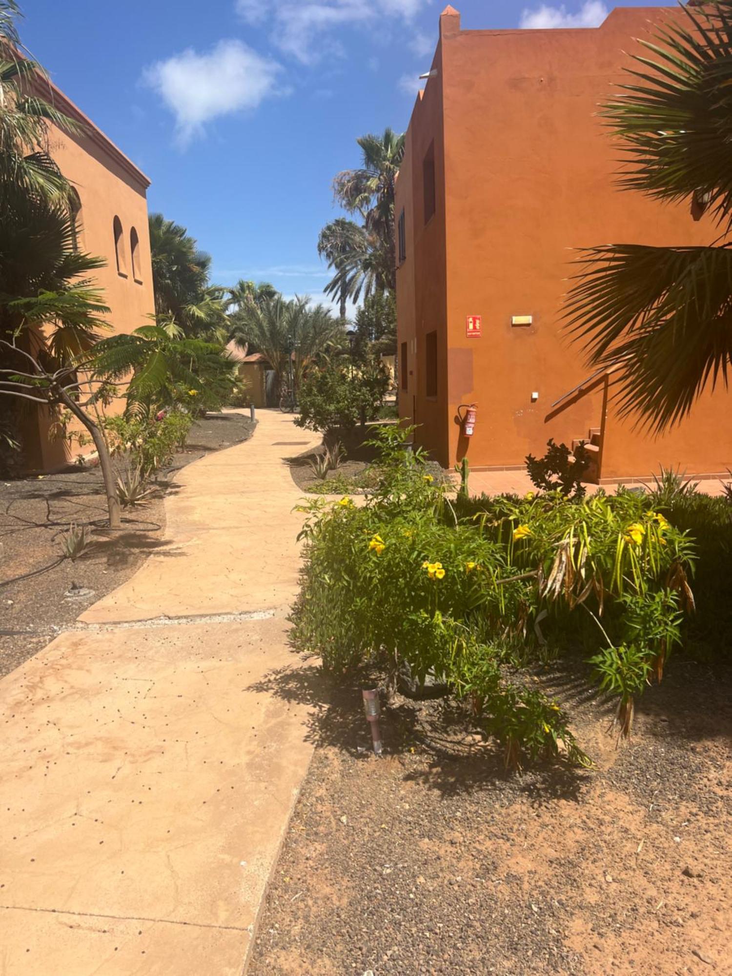 Paraiso Del Mar Corralejo Kültér fotó